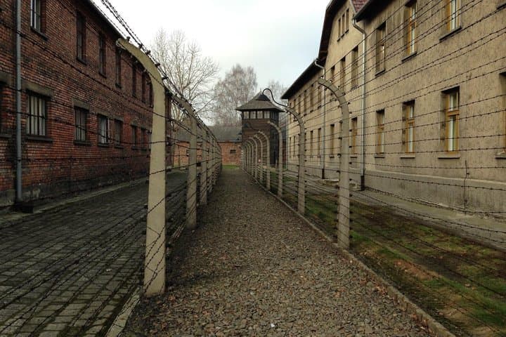 Auschwitz-Birkenau Guided tour from Krakow/Minivan Small Group