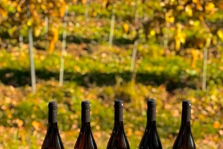 Krakow Half Day Tour Tyniec Abbey and Wine Tasting