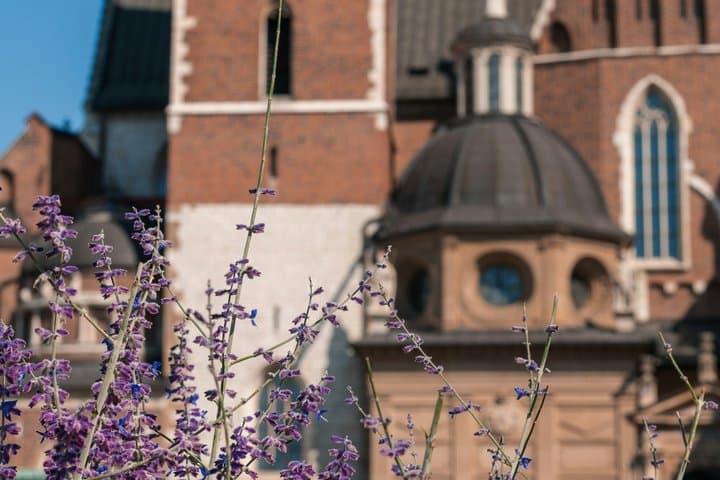Wawel Castle Cathedral with a Polish Guide