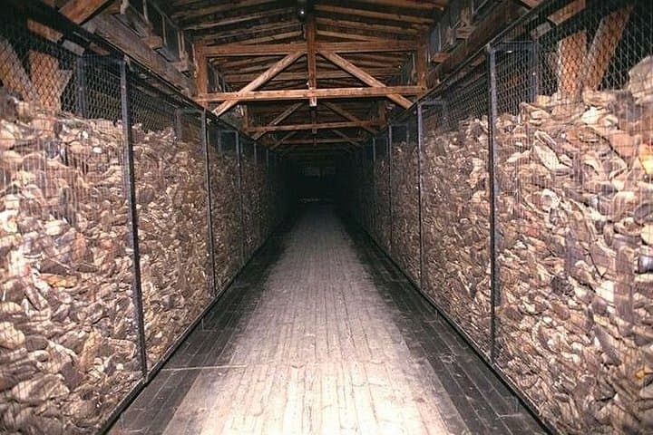 Majdanek Concentratration Camp Full Day Private Tour From Krakow