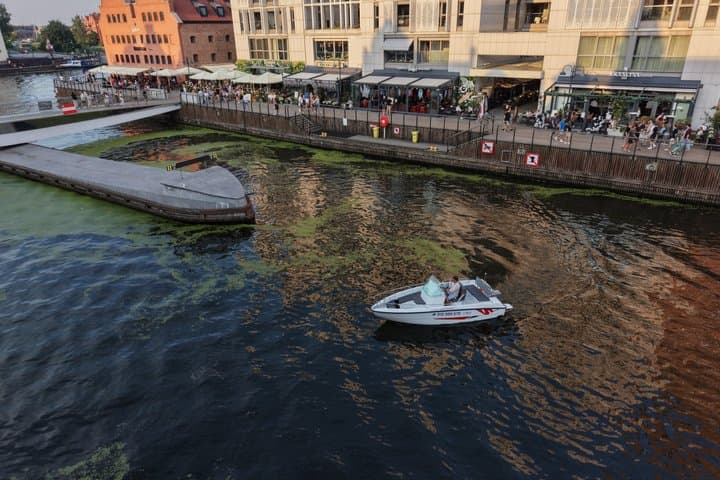 Sunset Cruise with Wine Prosecco in Gdańsk Motława