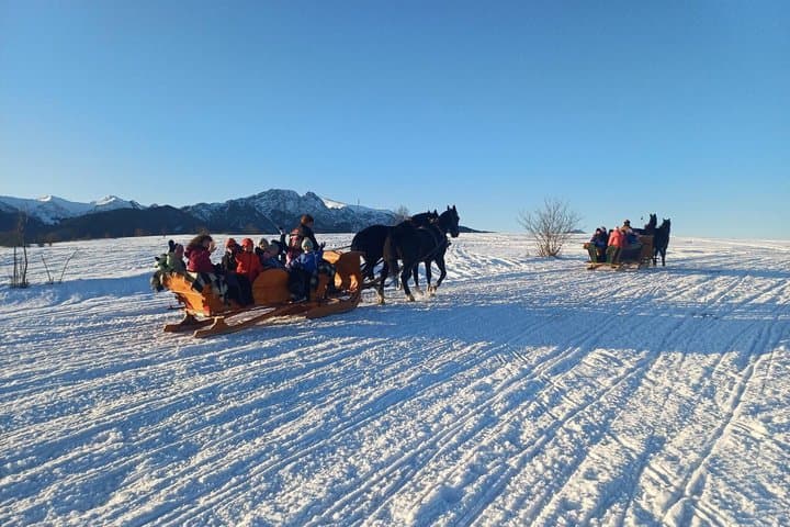 Sled ride pulled by horses with bonfire and dinner.