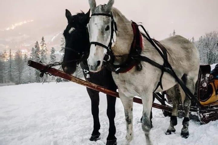 Sled ride pulled by horses with bonfire and dinner.