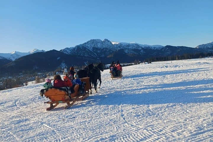 Sled ride pulled by horses with bonfire and dinner.