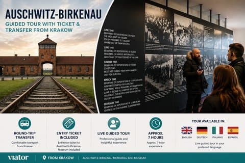 Auschwitz-Birkenau Guided Tour with Ticket & Transfer from Krakow