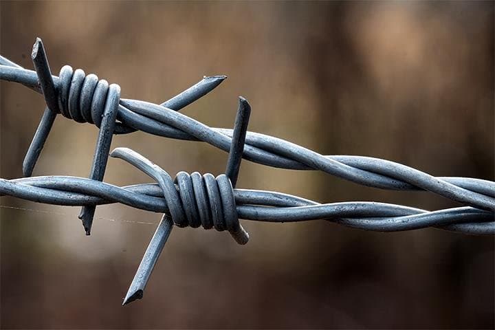 Wire