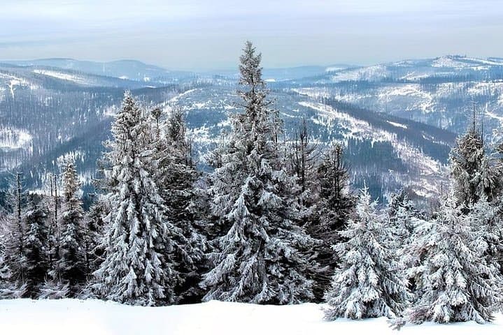 Zakopane & Funicular - Private Summer Tour From Krakow