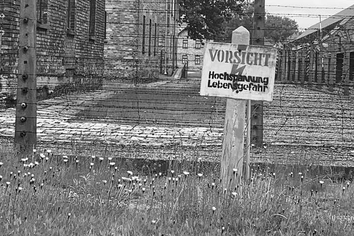 tour to Auschwitz
