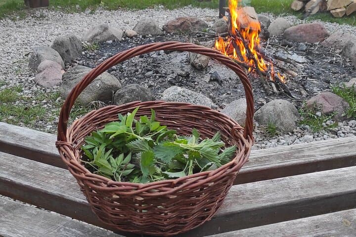 Herbal and Wild food walking tour in Warsaw area