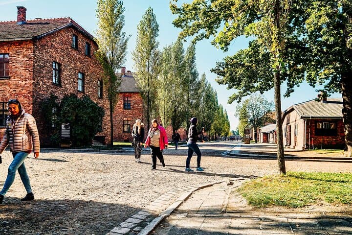 Auschwitz paths