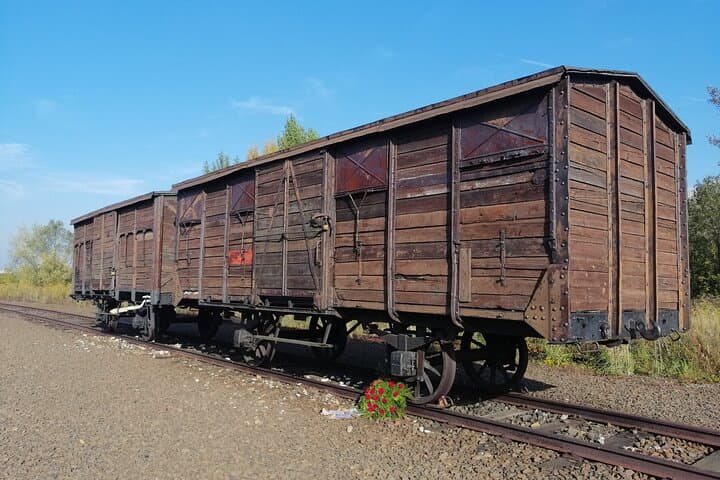 Full-Day Tour From Warsaw to Auschwitz (guided) and Krakow by car
