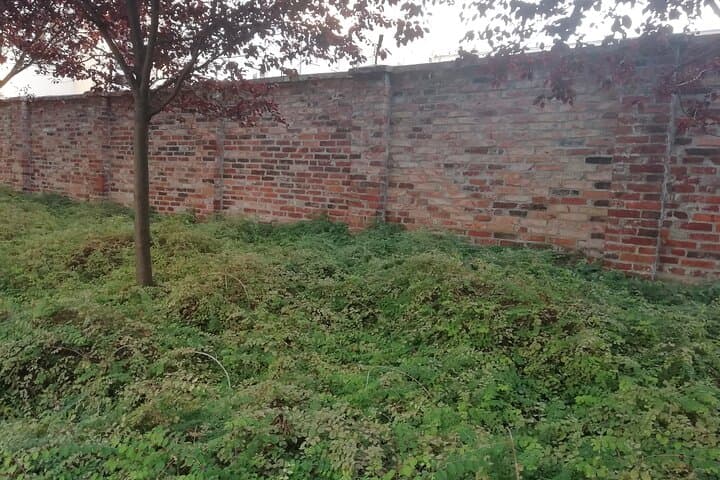 2-hour Walking Tour of the Daily Life in the Warsaw Ghetto
