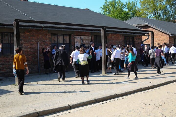 Krakow: Auschwitz Birkenau Museum With Private Transport