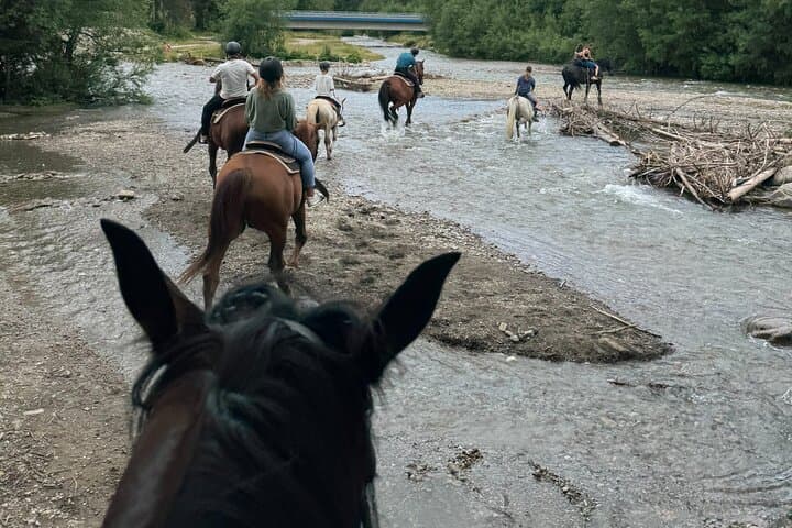 Zakopane Horse Riding and Thermal Baths full day from Krakow
