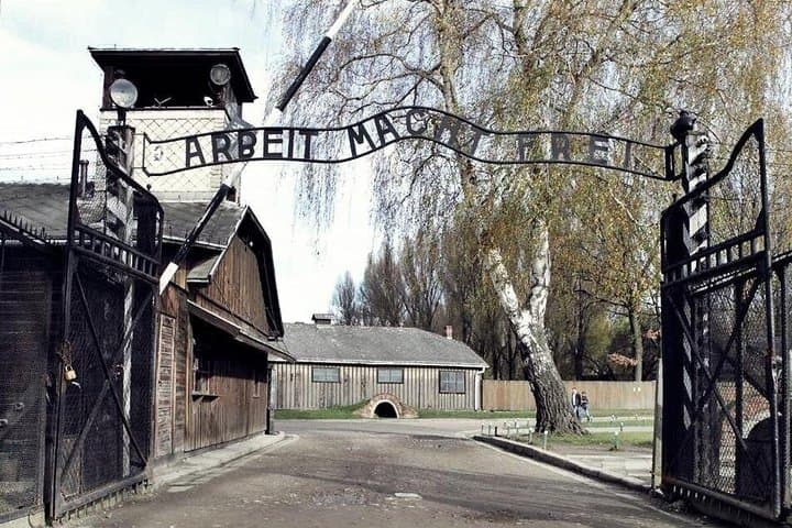 Auschwitz Birkenau and Wawel Cathedral Guided Tour from Krakow