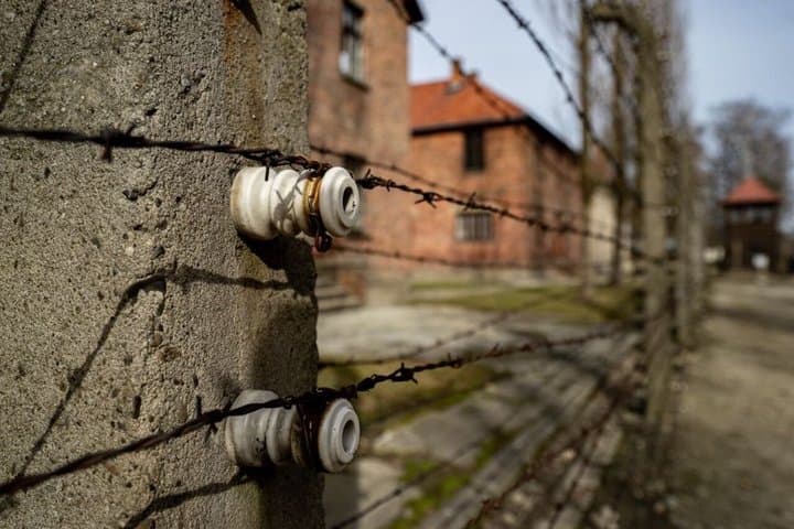 Auschwitz Birkenau Skip the Line Ticket