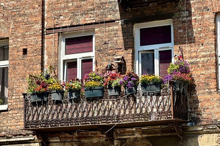 Explore the Edgy & Artsy Praga District & Enjoy a Local Lunch