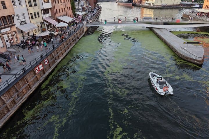 Gdańsk: Private Self-Drive Electric Boat Rental (No License)