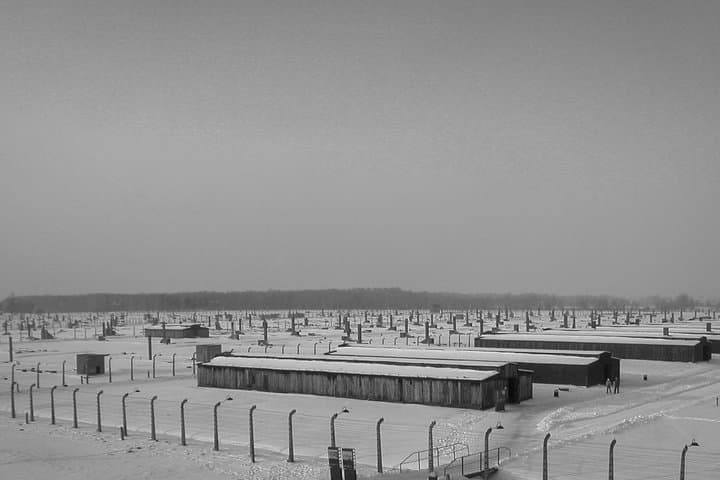 Private Auschwitz-Birkenau Memorial Tour from Krakow